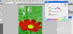 PS中怎样改变图片的颜色