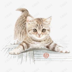 卡通手绘猫咪素材图片免费下载 高清装饰图案psd 千库网 图片编号2007080 