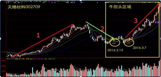 一个炒股20年成功的老股民 闲钱投机,赢钱投资,只因做精一只股