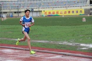 佛山小学生田径队训练,佛山中小学生田径锦标赛成绩册