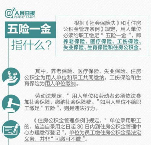 公司的五险一金、社保及扣税是怎么算的呢