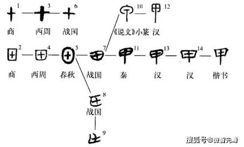 甲 乙 丙 丁 戊 算是最古老的汉字,对它们的解释充满乐趣