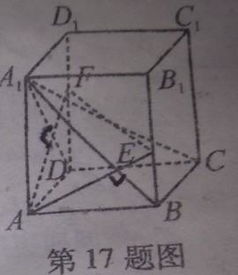 数学 简单几何体 基础知识 17 