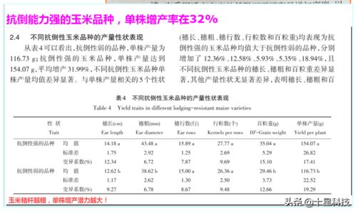 独家证明怎么写