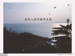 浮华万千,此生愿只为你回眸 