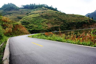 乡村治理与农村道路建设及养护管理,乡村治理的重要性。