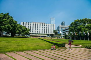 南方科技大学和深圳技术大学