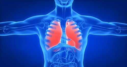 肺不舒服,身体可能会有3个症状,提前知道或能有助肺部健康