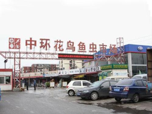 求助,郑州最大的花鸟市场在哪里 