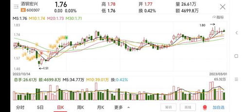 酒钢宏兴股票,酒钢宏兴股票：行业领先者的投资机会