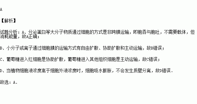 下列有关物质通过细胞膜的说法正确的是 A.分泌蛋白的分泌需要能量但不需要细胞膜上的载体蛋白B.小分子物质和离子都是通过自由扩散进入细胞C.葡萄糖等较大的分子只能通过主动运输进入细胞 