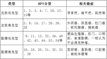 HPV疫苗的适合接种人群有哪些