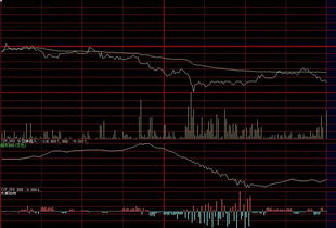 为什么我新装的大智慧软件 股票的ddx、ddy数据是直线