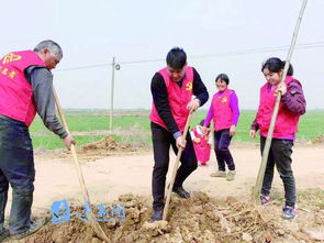 涂艳飞 退伍兵心中有个 富民梦