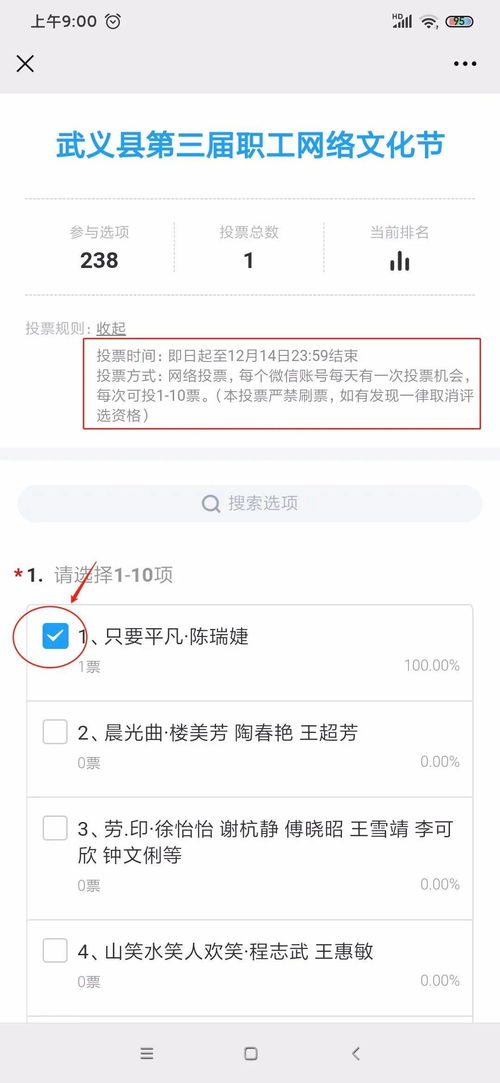 怎样快速网络投票啊？