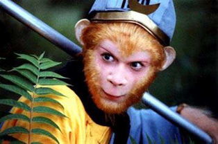 西游记 中, 孙悟空为什么是一只猴子, 而不是其他的动物