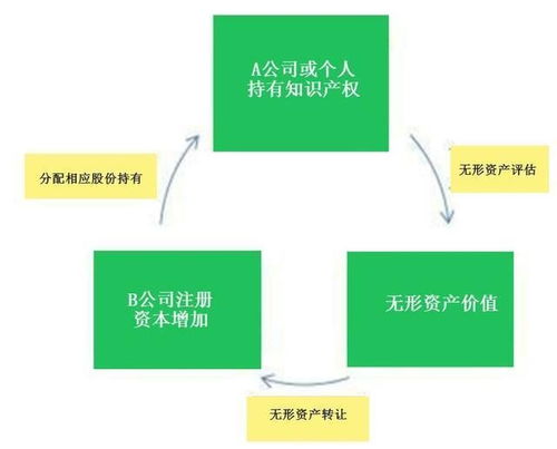 请问：公司原股东以实物资产增产，这些实物以什么价值进入呢？评估值？原来的购买值，还是别的？