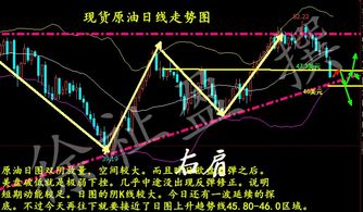 上半年第二增长极表现强劲且呈现双“放量”态势