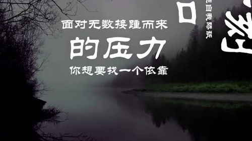 你总要一个人尝遍所有孤独 