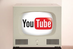 YouTube由来和发展历史  探索视频平台的演变过程