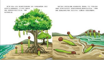 宝宝的第一套科学图书 神奇的动物和植物 ,让孩子的求知欲得到最大满足 