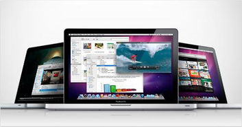 windows osx双系统,轻松实现跨