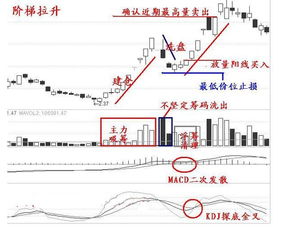 成本17.7元如果有十个涨停板是多少利润