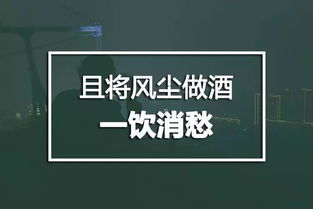 酒中咪蒙 还能喝么 还是看看这些高阶清流酒文案吧