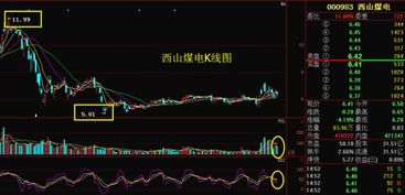 从一只股票每天公布的融资余额/买入额，融券余量/余额/卖出量中能看出该股的什么情况？