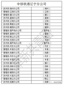 zhaosf123.com网址官网,揭秘官网背后的精彩故事与无限可能”