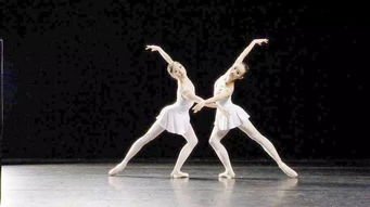 舞蹈学专业考研究生,舞蹈学专业考研之路：探索舞蹈艺术的深度与广度