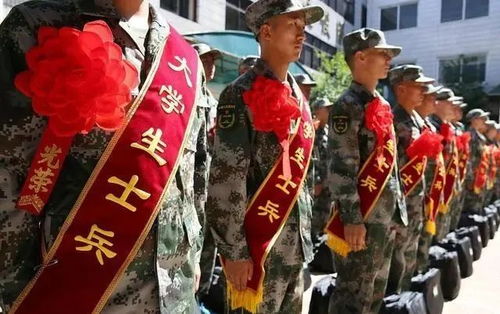 在校生当兵和毕业生当兵,除了待遇差距之外,还有这4大区别