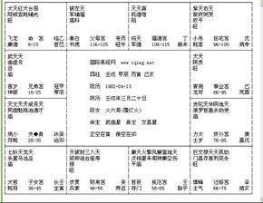 紫薇排盘 高手解一下