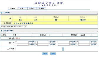 申请公司字号怎么填