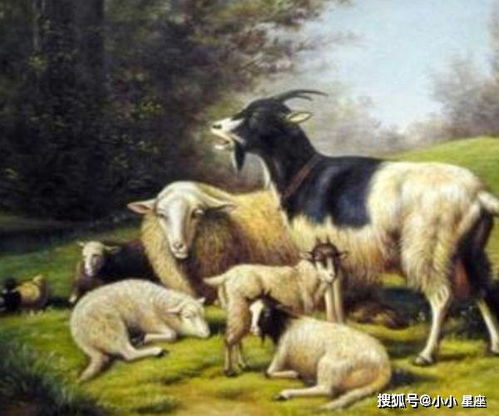 属羊人一生最旺3个人,最旺属羊人的生肖