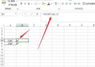 wps问题 excel去除数值留下单位 