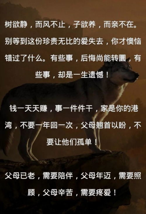 狗血励志是什么意思-百元之恋背后的故事？