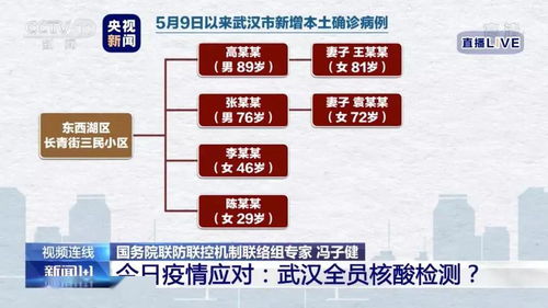 本土病例新增4例 全民核酸检测有必要吗 白岩松问了专家