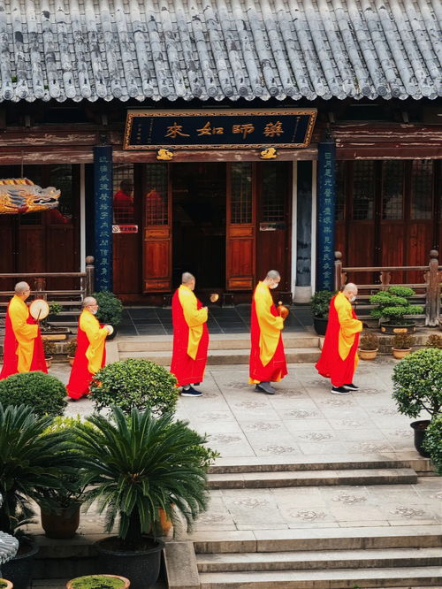 真如寺 上海四大古刹中最清静的一座 