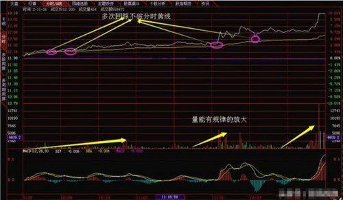 各位老师好。股票软件打开都是默认显示日K线图，怎么样设置每次打开都是周K线图？