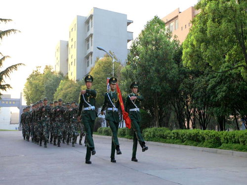 平顶山市工业学校什么专业好