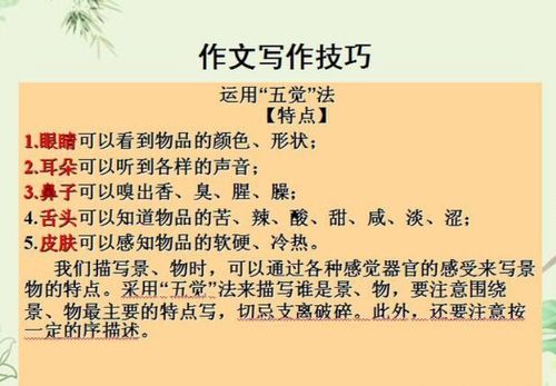 热爱篮球励志作文500字—关于热爱篮球的四字成语？