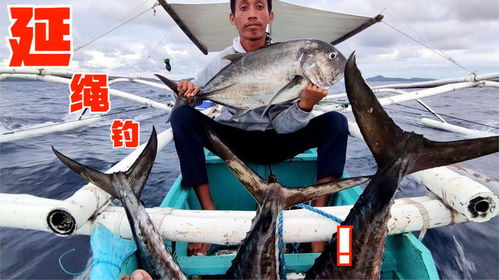国外渔民深海延绳钓,海鳗鱼剁成段当做鱼饵抓GT鱼,这才是高手