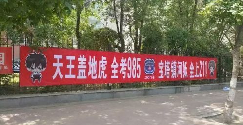 关于细心的中考励志标语-生物地理中考横幅霸气标语口号？