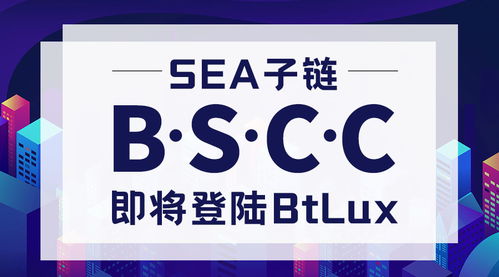 bsc是什么意思的缩写,bsc是什么意思-第2张图片