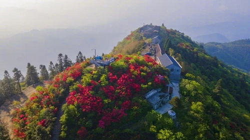 山川之美是什么美,山川之美美在哪里-第4张图片