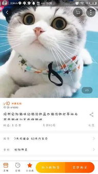 淘宝猫猫币有什么用,娣樺疂 淘宝猫猫币有什么用,娣樺疂 应用