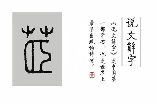 说文解字 第46课 那味中药 白芷 其实还有很多高级的名字