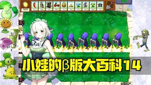 植物大战僵尸 PVZβ版大百科14 有这俩植物才叫无敌防线 