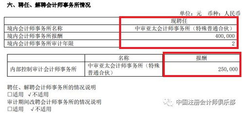 中国证卷市场上第一份出具保留意见的审计报告案例具体是什么？